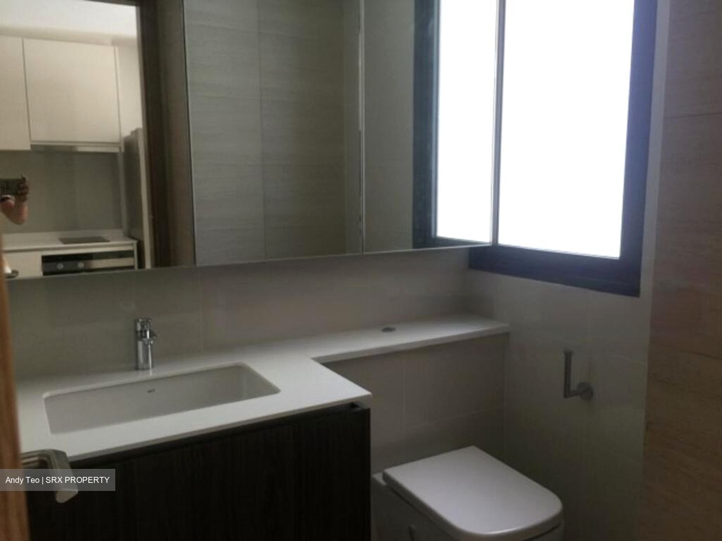 Lakeville (D22), Condominium #453349501